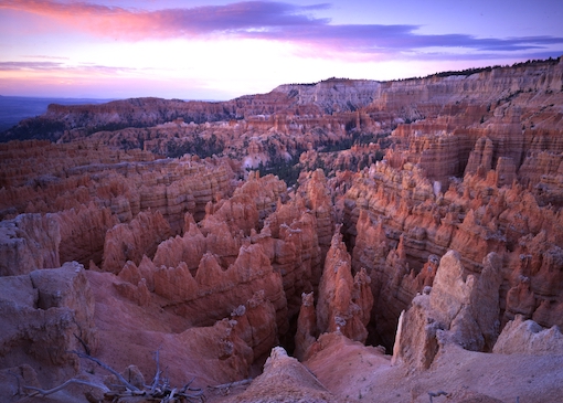 Looking down into Wall Street from Sunset Point in Bryce Canyon National Park near Kanab, UT