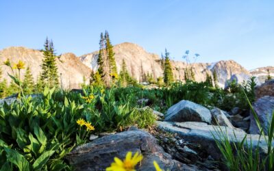 Il nostro week end a Saratoga, nel Wyoming