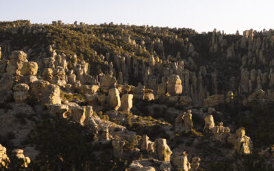 Durchstreife die Sky Islands von Cochise County, Arizona