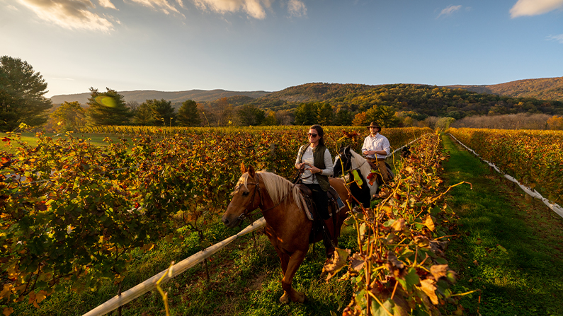 Wine tasting in Virginia