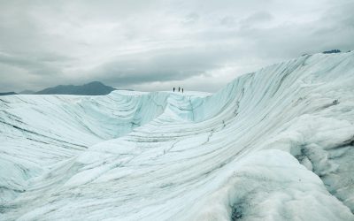 Summer Excursion in Southcentral Alaska