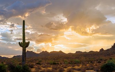 Descubre los parques estatales en el corazón de Arizona