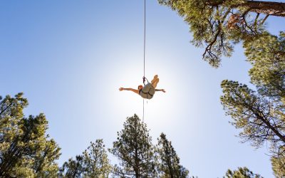 A Weekend of Wonders in Flagstaff, Arizona