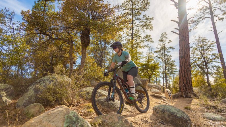Mountain biking in Prescott, Arizona