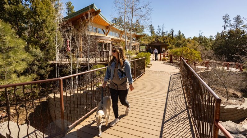 Woman walking over bridge at Highland Nature Center