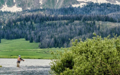 Le 5 migliori cose da fare a Wind River Country, nel Wyoming