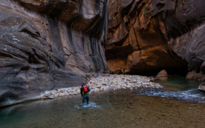 Il Parco nazionale di Zion in inverno: avventure nella stagione fredda.