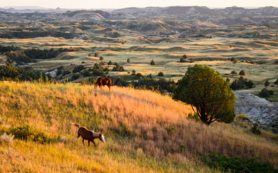 Cross Country Train Trip: 7 National Parks from New York to Seattle