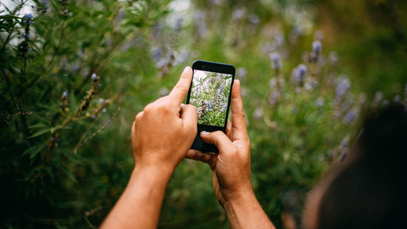 Family Travel Tips: Put the camera away sometimes